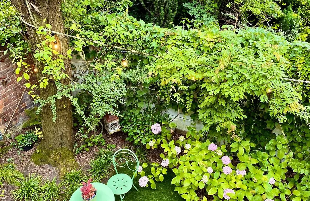 B&B Petit Prince, Gent-1