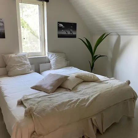 B&B Maison Blanche-3