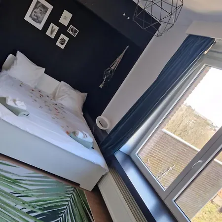B&B 1 Uit De 100-3